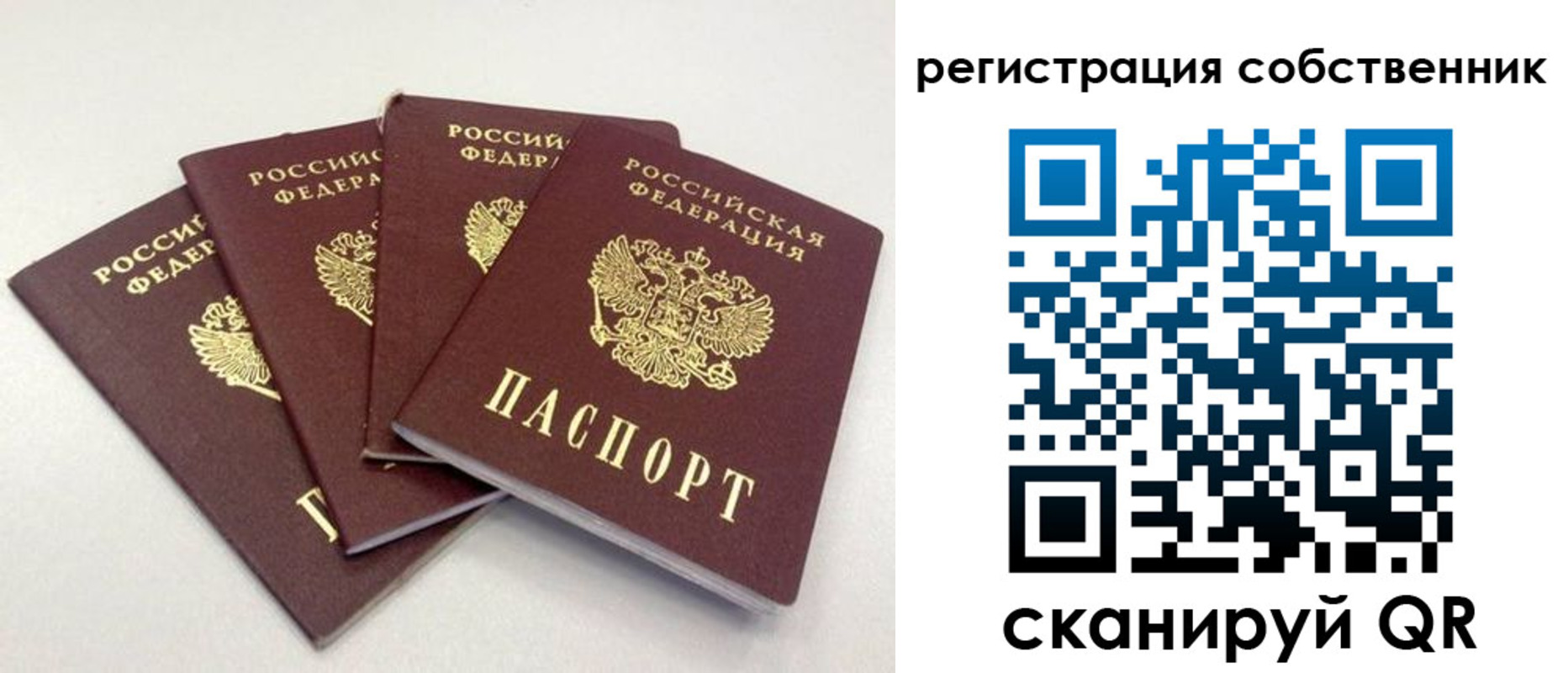 прописка для школы в Мамадыше